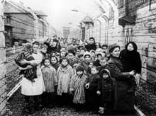 Auschwitz-Birkenau : la libération