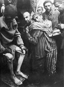 Auschwitz-Birkenau : la libération… des nus et des morts